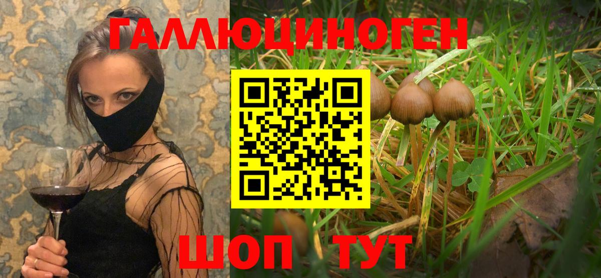 Псилоцибиновые грибы Magic Shrooms  Псилоцибиновые грибы GOLDEN TEACHER  Камень-на-Оби  магазин  наркотиков  Вход с VPN 